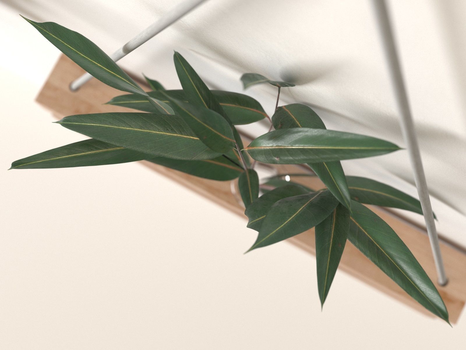 Hanging Tube Vases with Plants 3D model_2