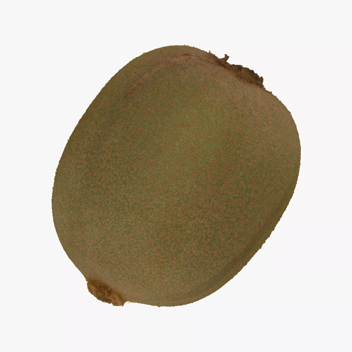 Kiwi 02 RAW SCAN 3D model