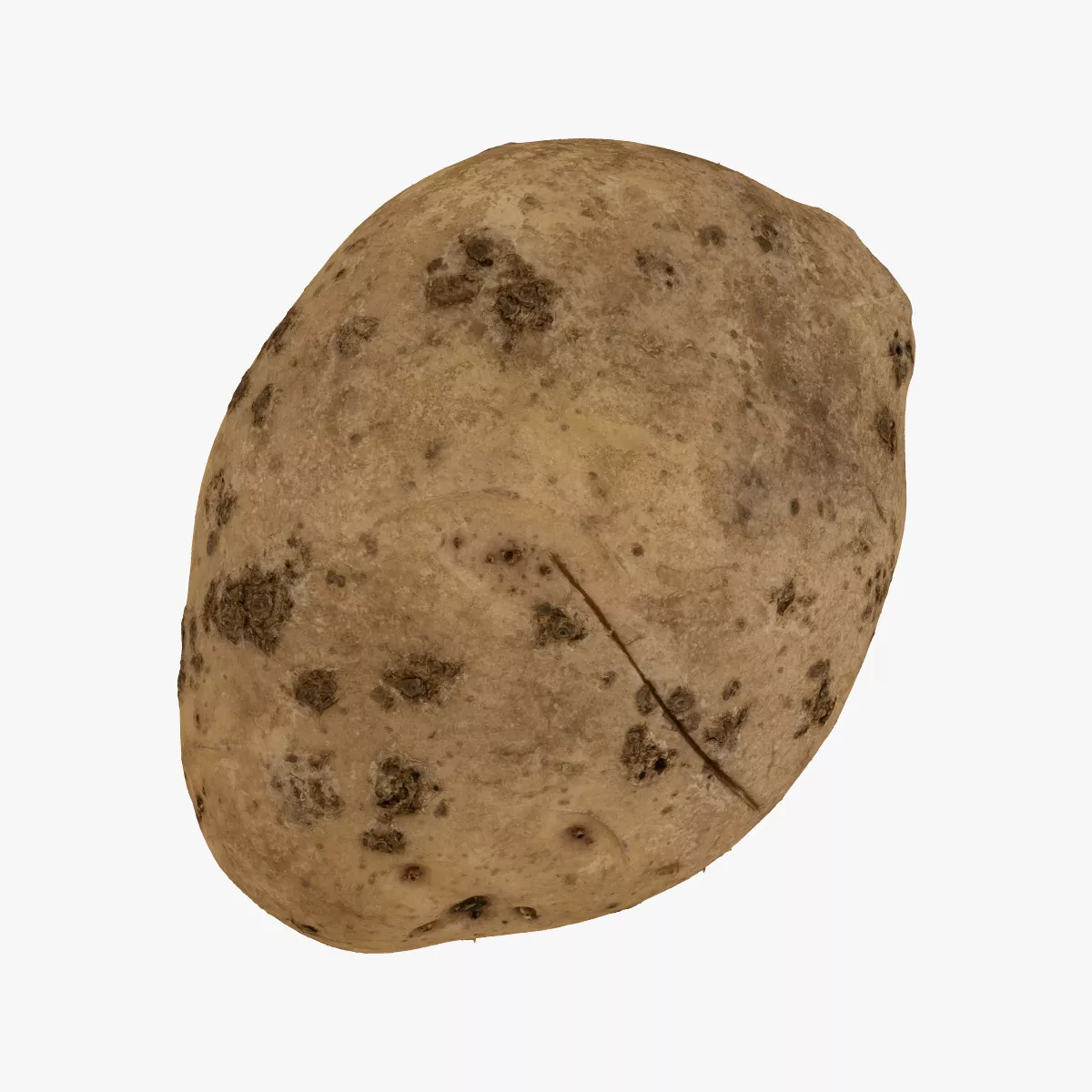 Potato 04 RAW SCAN 3D model