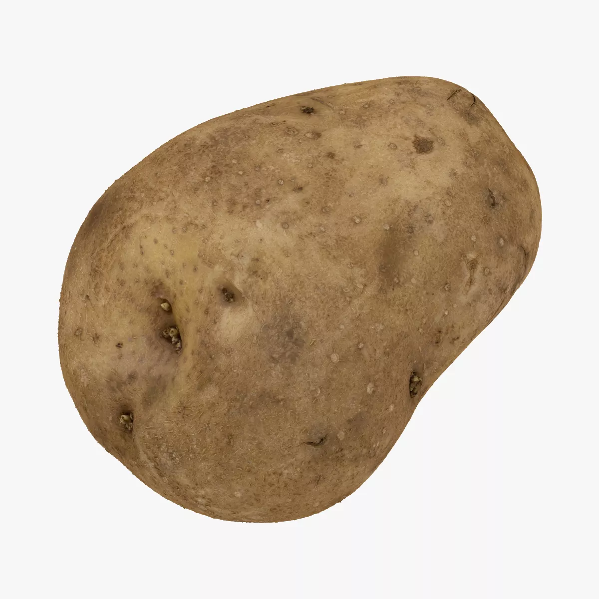 Potato 02 RAW SCAN 3D model