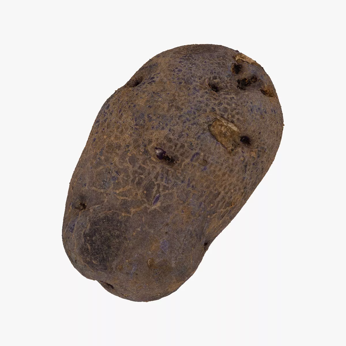 Purple Potato 05 RAW SCAN 3D model