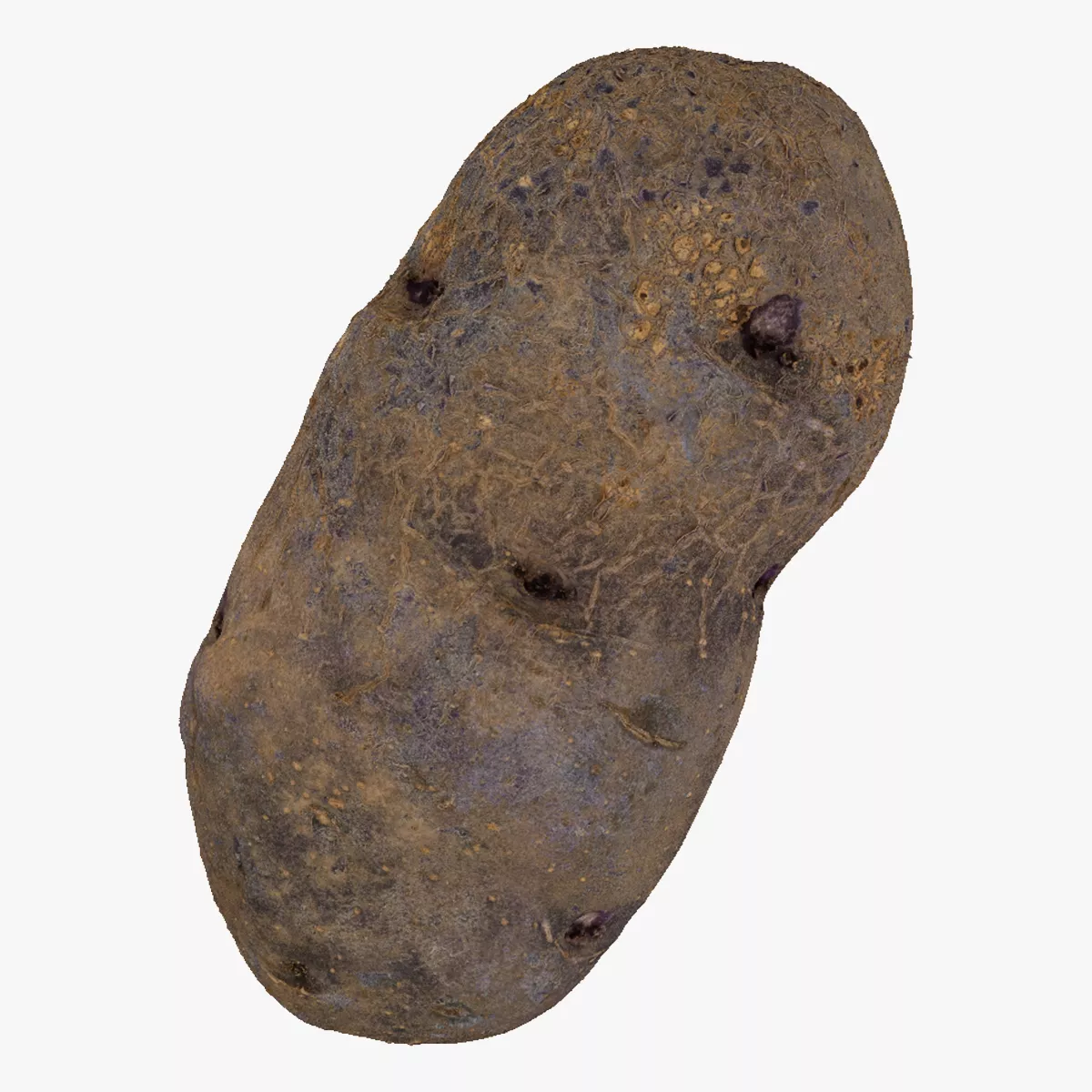 Purple Potato 04 RAW SCAN 3D model
