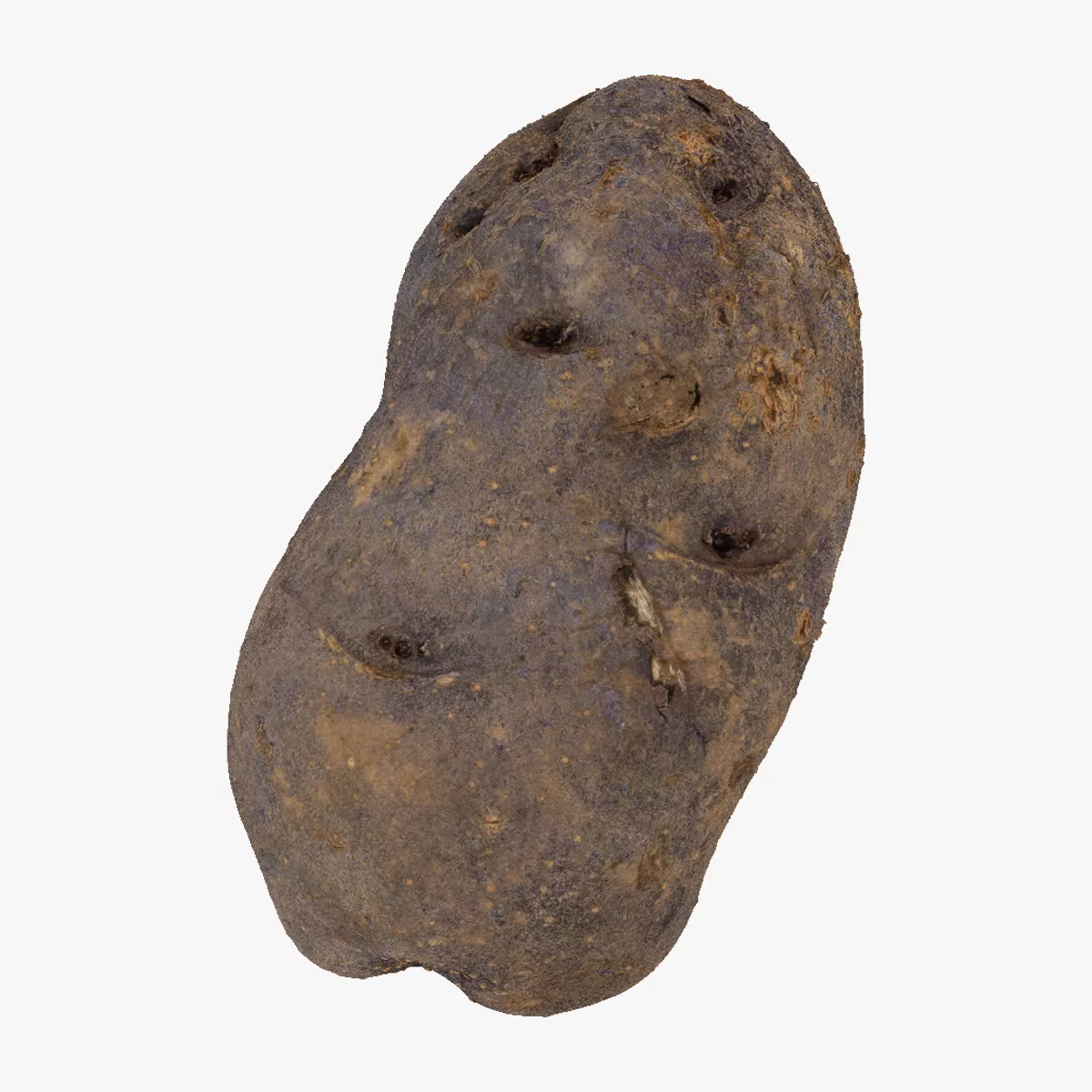 Purple Potato 03 RAW SCAN 3D model