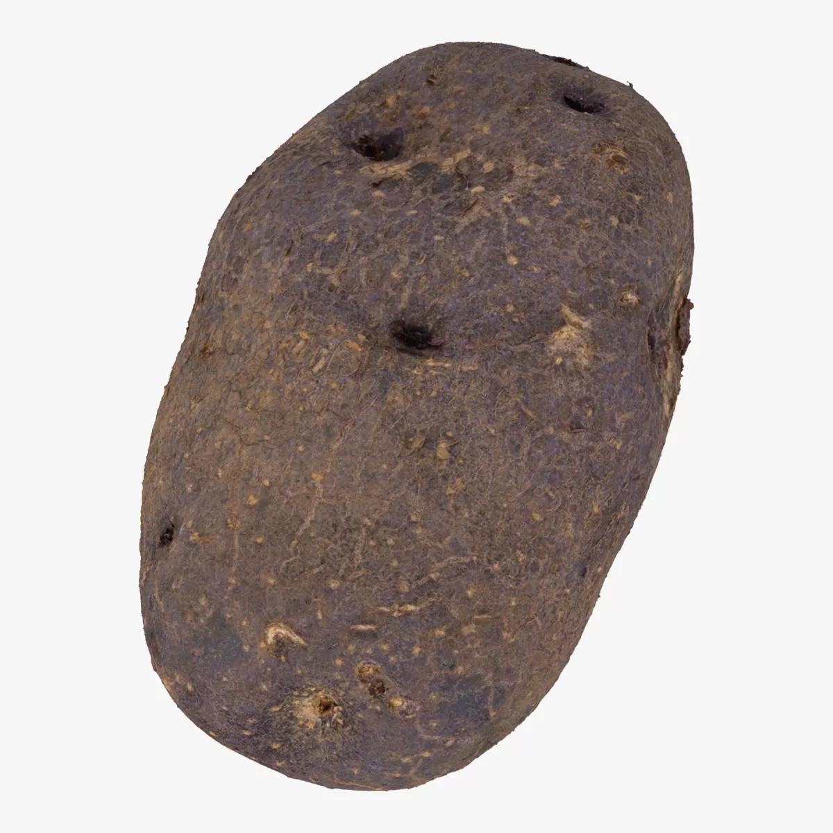Purple Potato 02 RAW SCAN 3D model