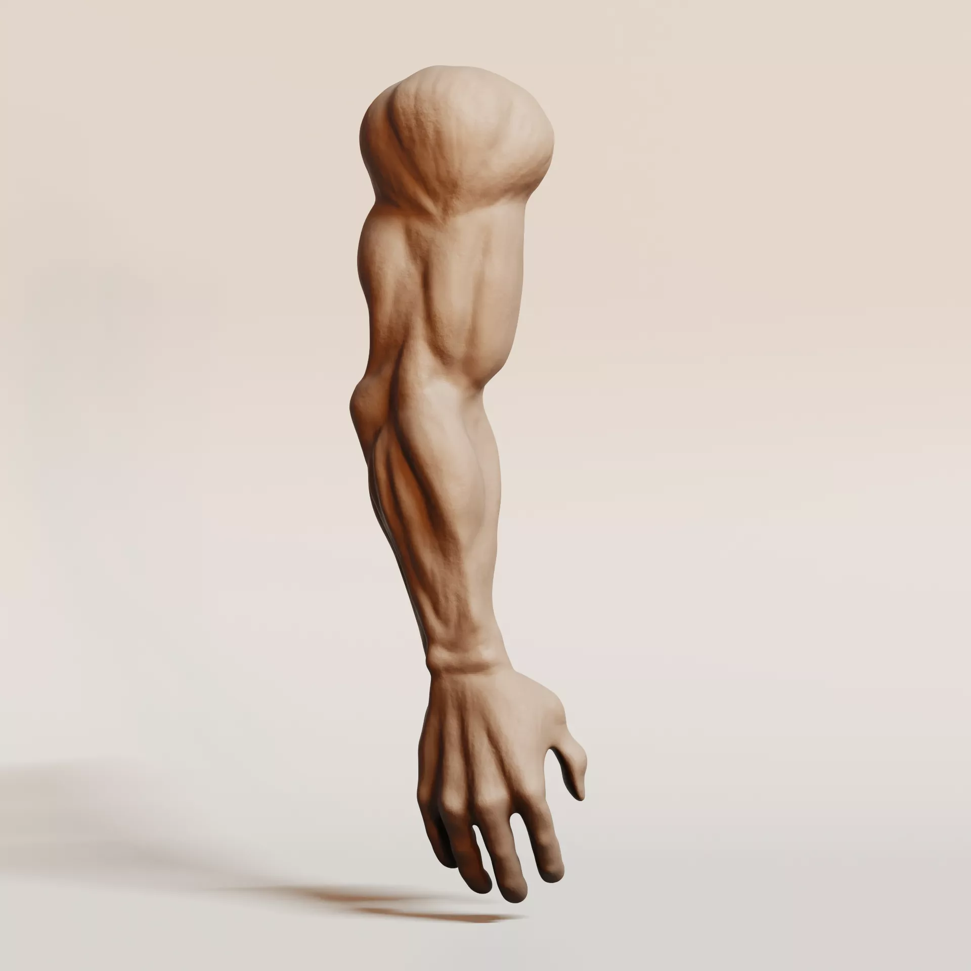 Human Male Arm - Anatomy Muscles Hand and Forearm Mesh 3D print model