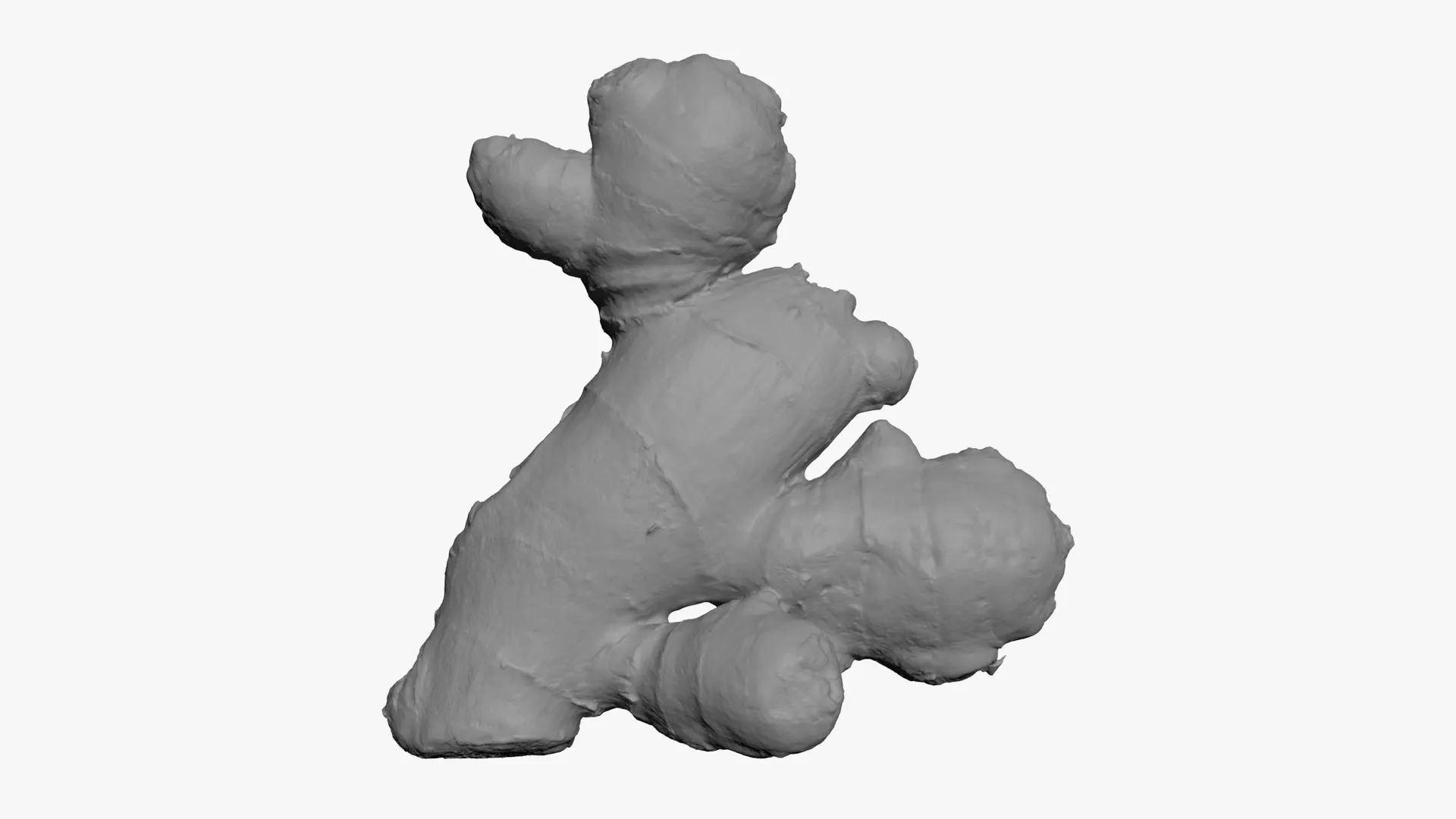 Ginger Root 02 - For 3D Print 3D print model
