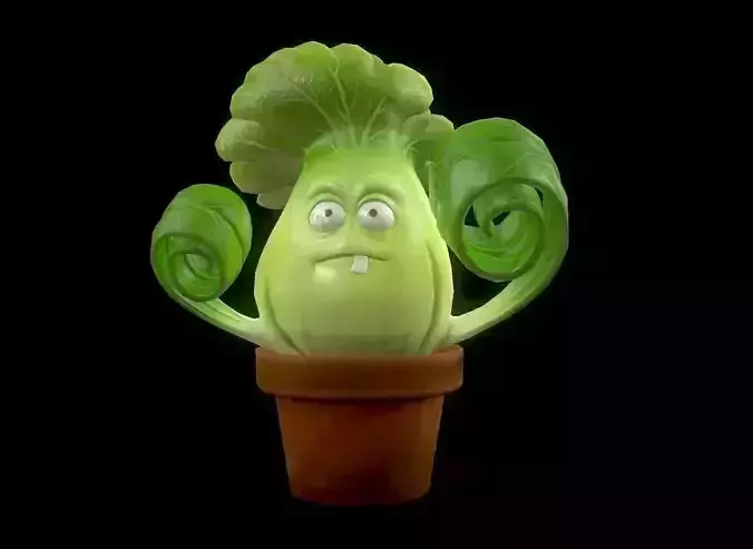 Cabbage man