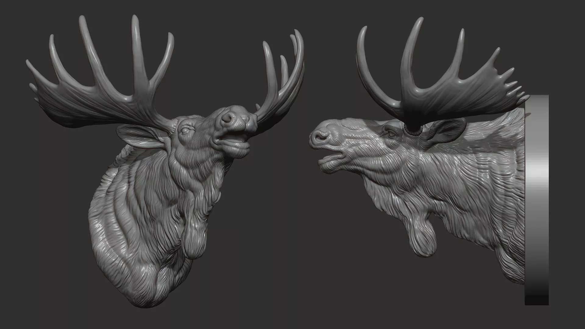 Moose Head Bust 3D print model