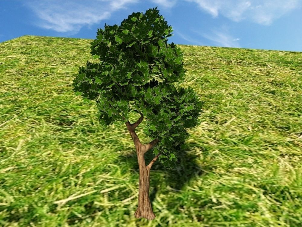 Tree on grassy hill Free 3D model_1