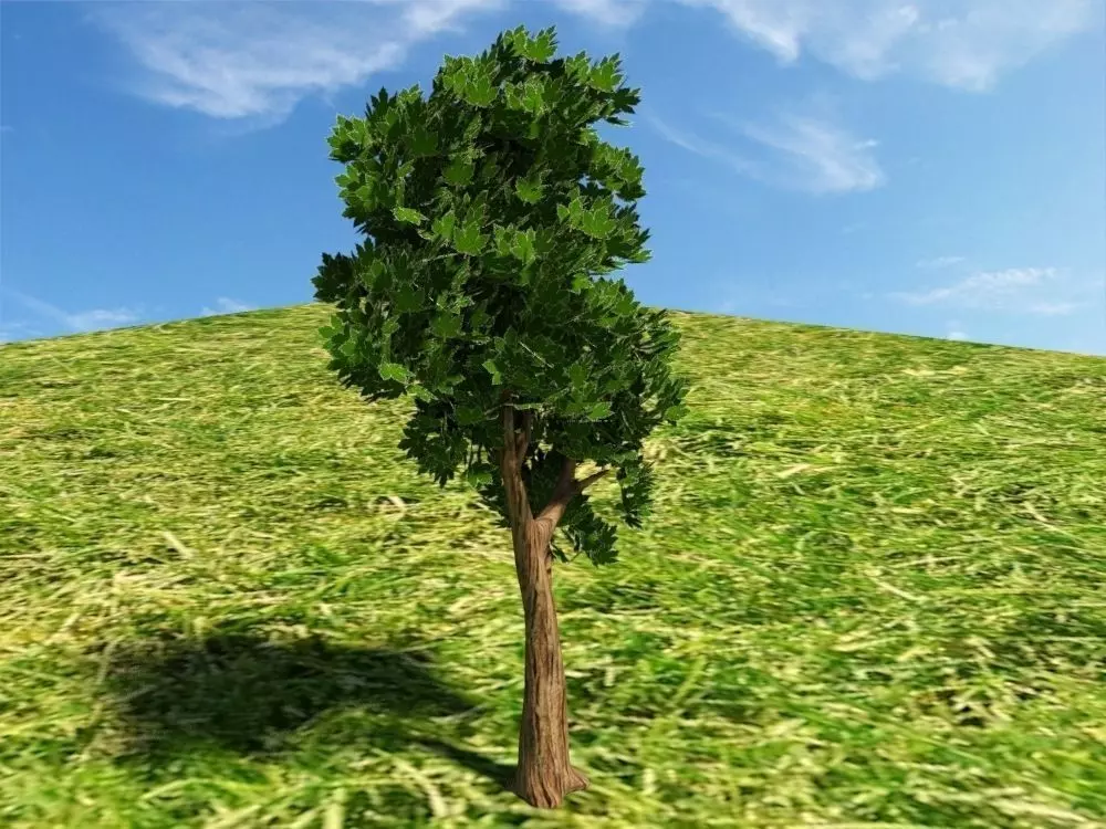 Tree on grassy hill Free 3D model_0