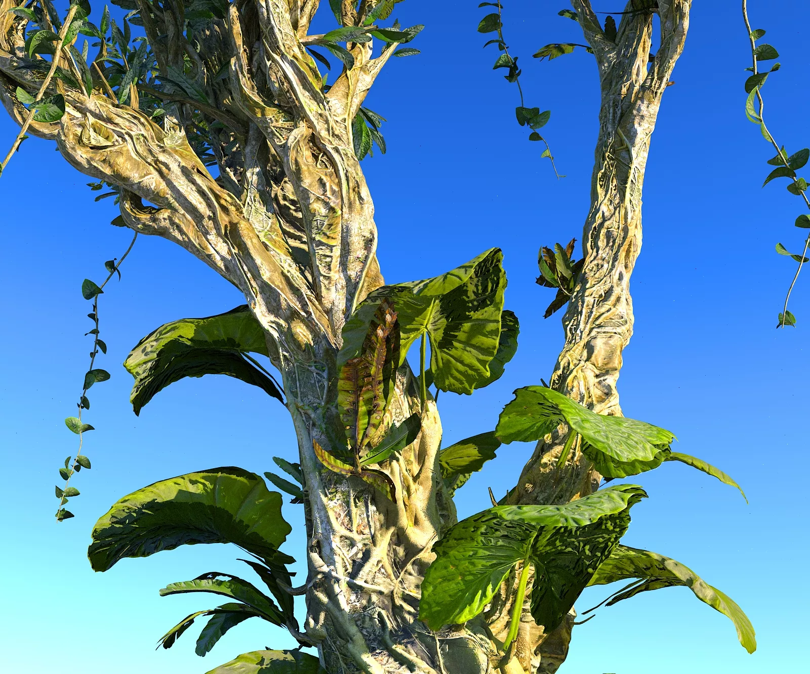 Rain Forest Ecosystems Animated Low-poly 3D model