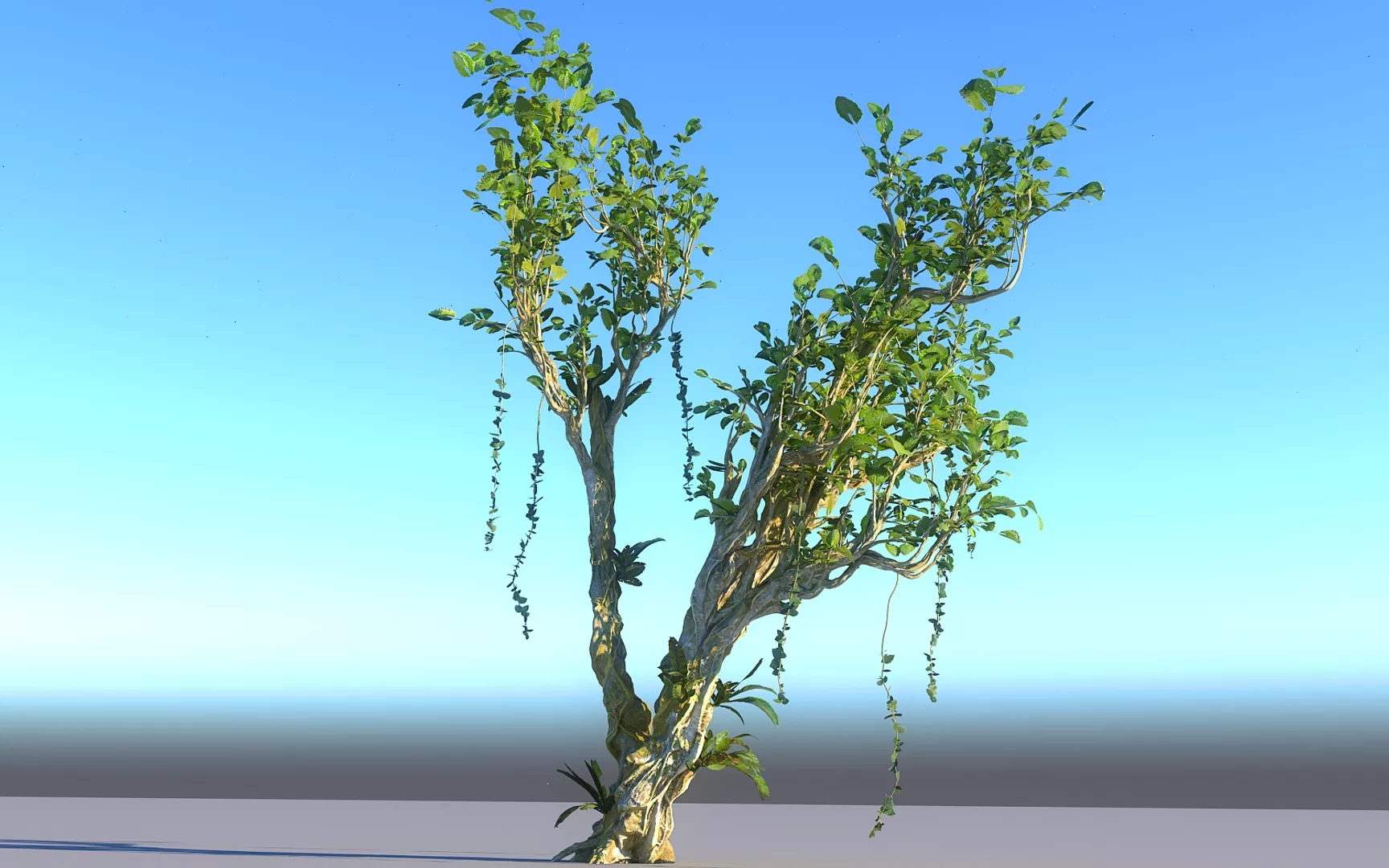 Rain Forest Ecosystems Animated Low-poly 3D model