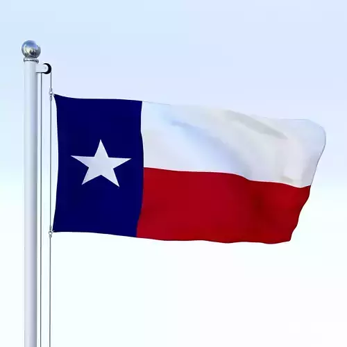 Animated Texas Flag Low-poly 3D model
