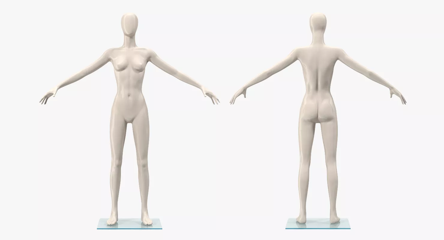 Female Mannequin T-Pose 3D model