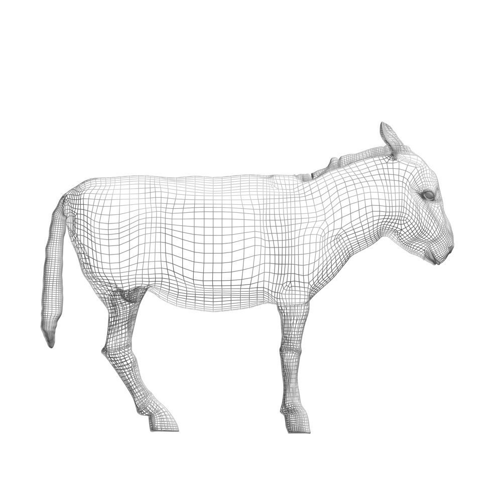Donkey 3D model_2