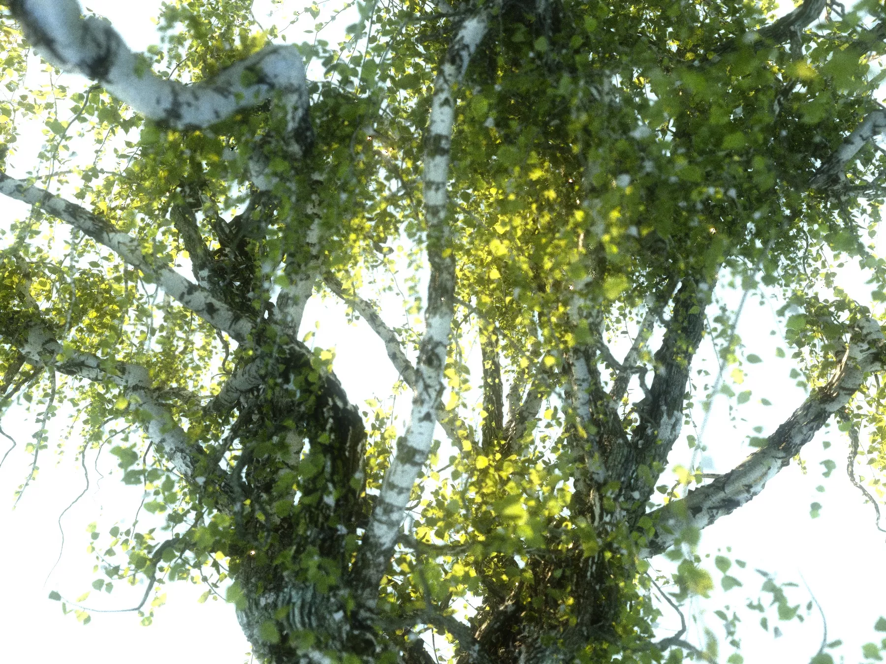 Mega Tree Animated HD Low-poly 3D model