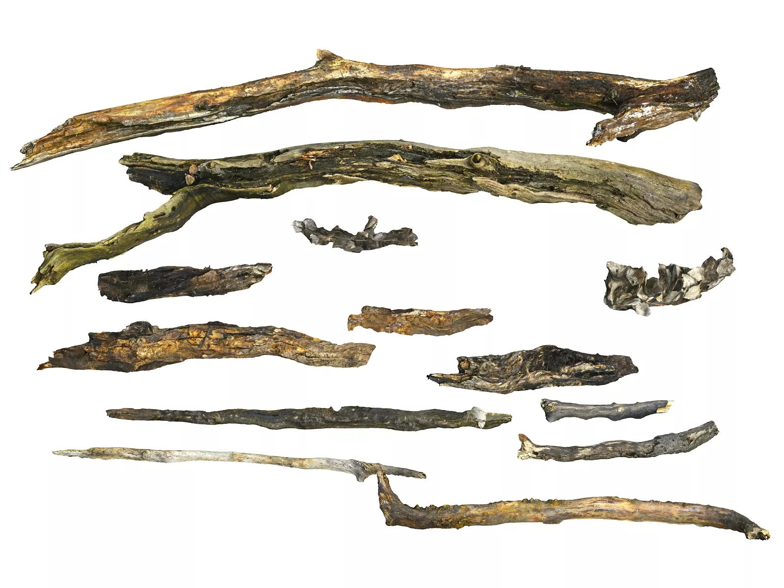 Wood Bark Branch Pack 21 Low-poly 3D model