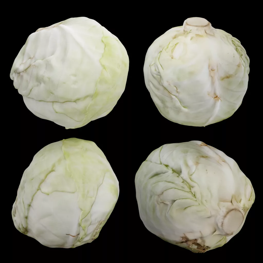 Fresh Green Cabbage Head 3D Model Low-poly 3D model