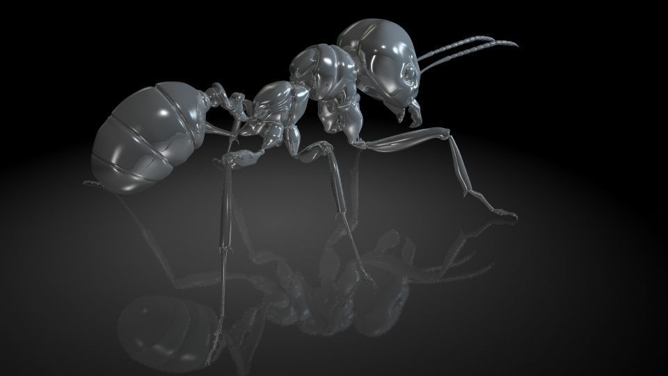 Insect Collection 1  ant Low-poly 3D model_4