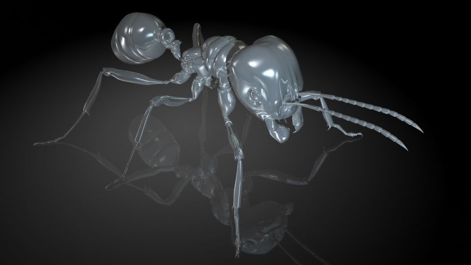 Insect Collection 1  ant Low-poly 3D model_6