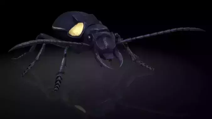 Insect Collection 2 Antlike flower beetle Low-poly 3D model