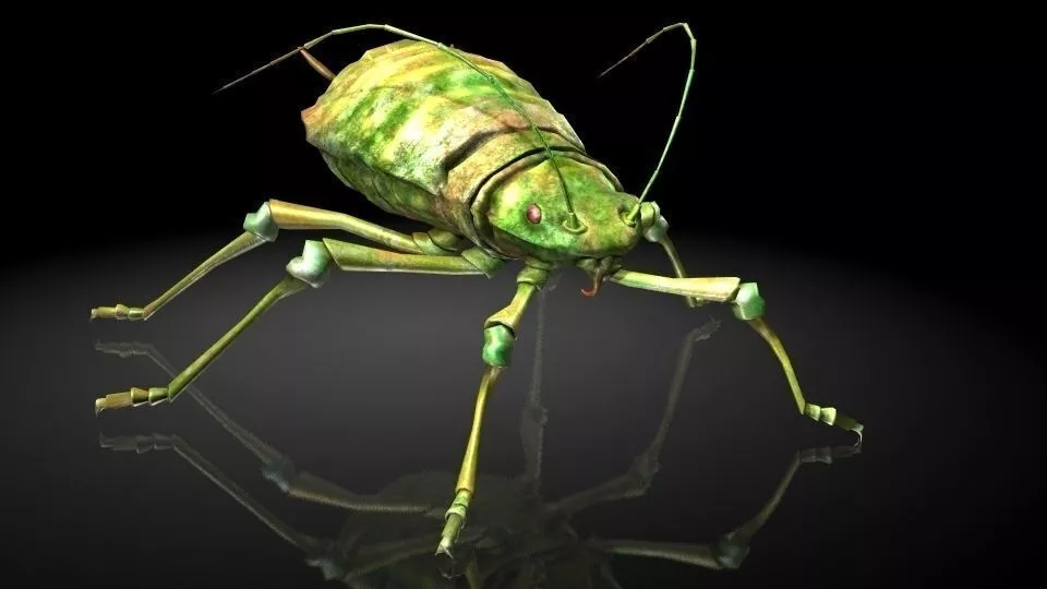 Insect Collection 4 aphids Low-poly 3D model