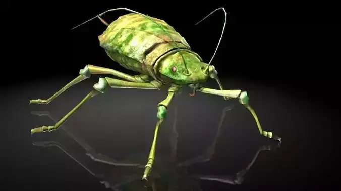 Insect Collection 4 aphids Low-poly 3D model