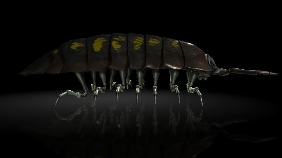 Insect Collection 5 Armadillidium vulgare Low-poly 3D model_2