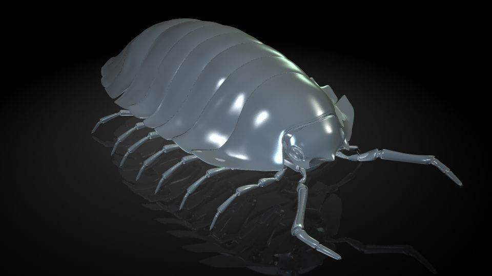 Insect Collection 5 Armadillidium vulgare Low-poly 3D model_5