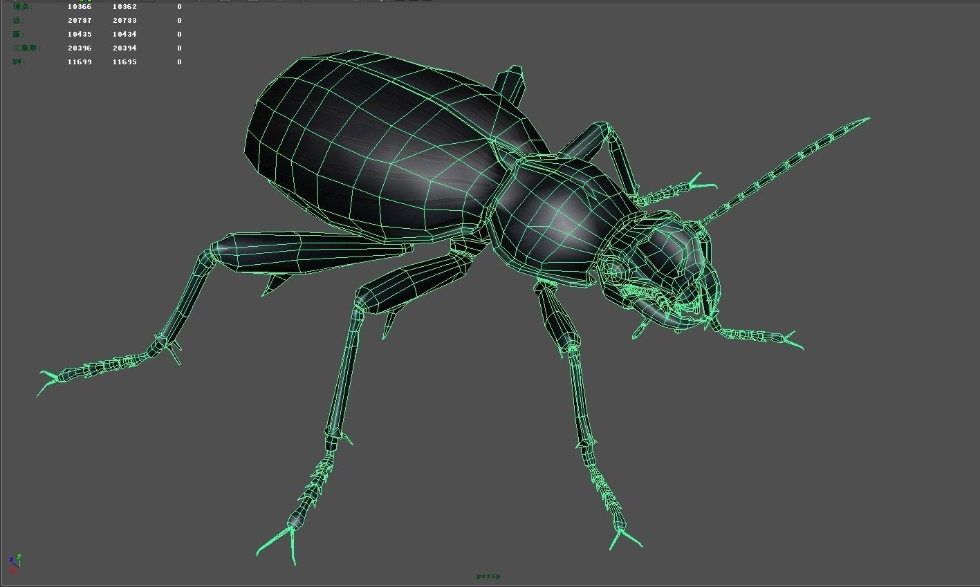 Insect Collection 7 beetle Low-poly 3D model_5