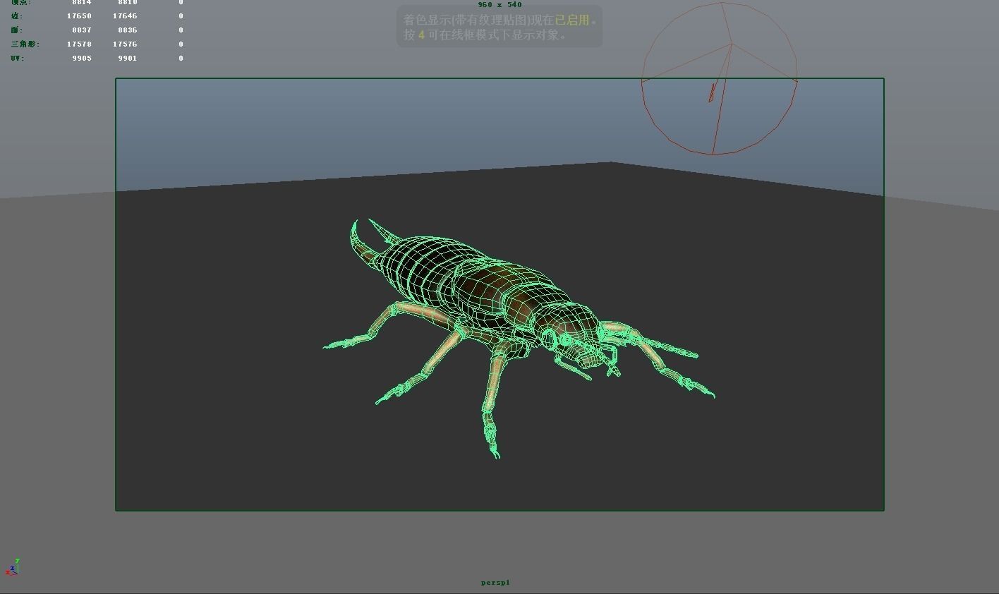 Insect Collection9  Earwig Low-poly 3D model_5