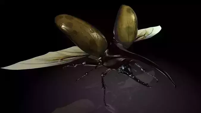 Insect Collection 12 Halberd beetle