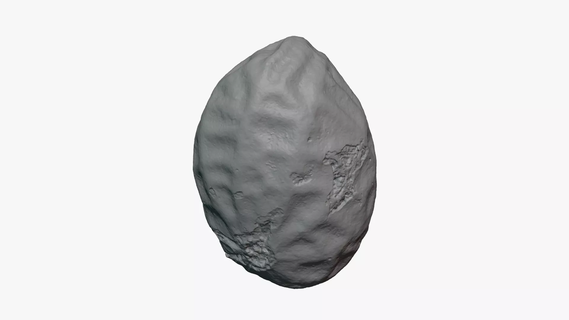 Single Peanut Shell - For 3D Print 3D print model