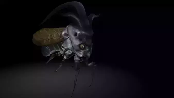 Insect Collection22  Tree hopper Low-poly 3D model