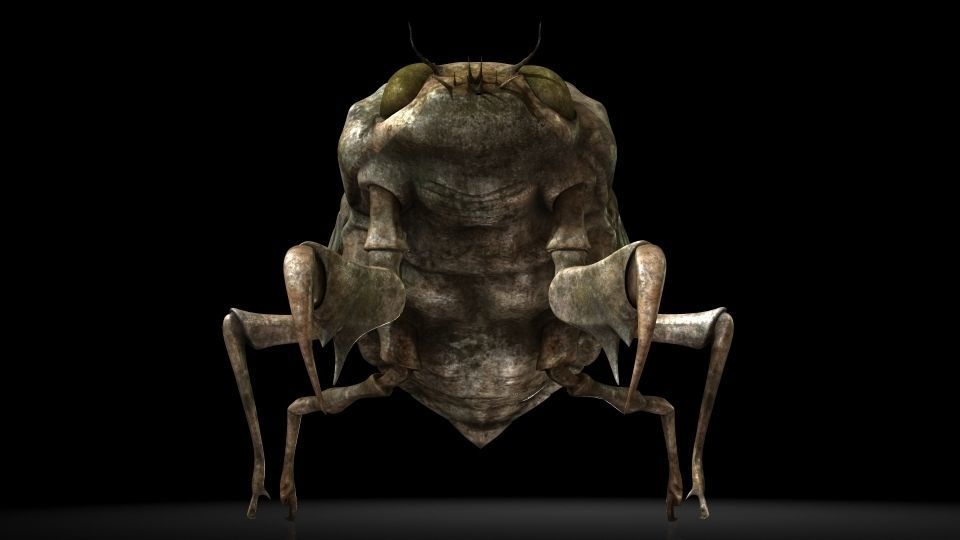 Insect Collection 24 Young cicadas Low-poly 3D model_1