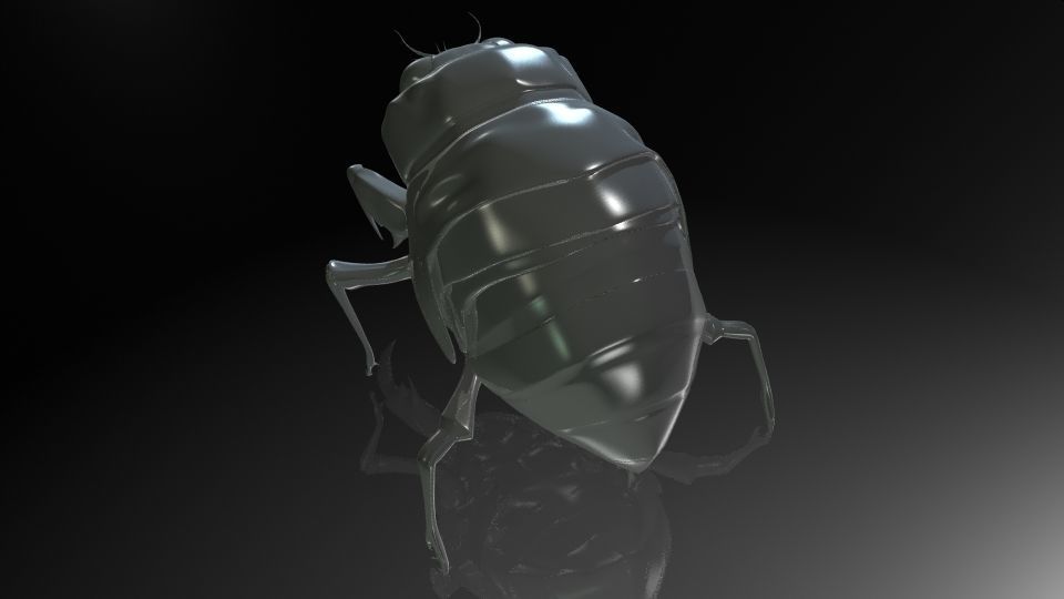 Insect Collection 24 Young cicadas Low-poly 3D model_8