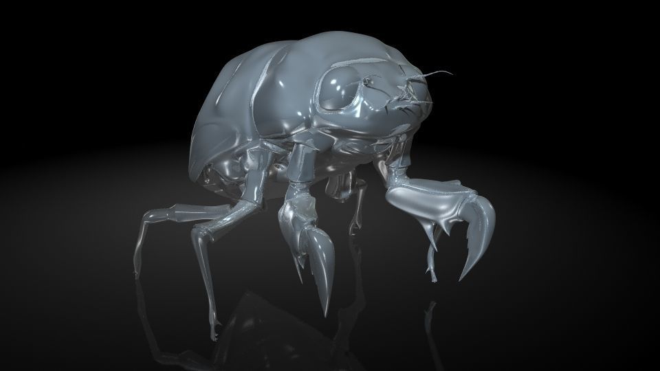 Insect Collection 24 Young cicadas Low-poly 3D model_6