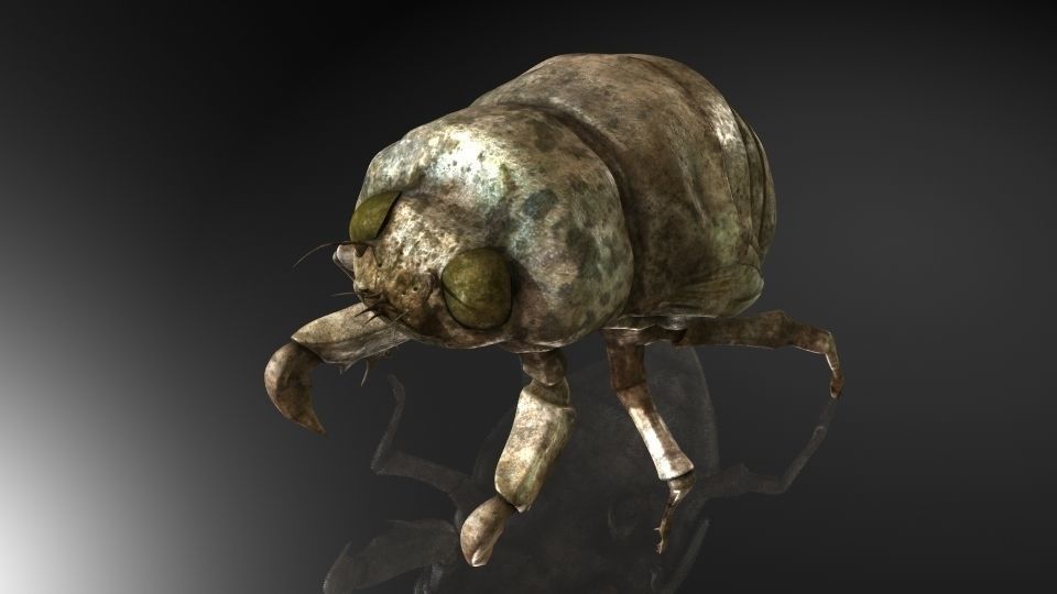 Insect Collection 24 Young cicadas Low-poly 3D model_5