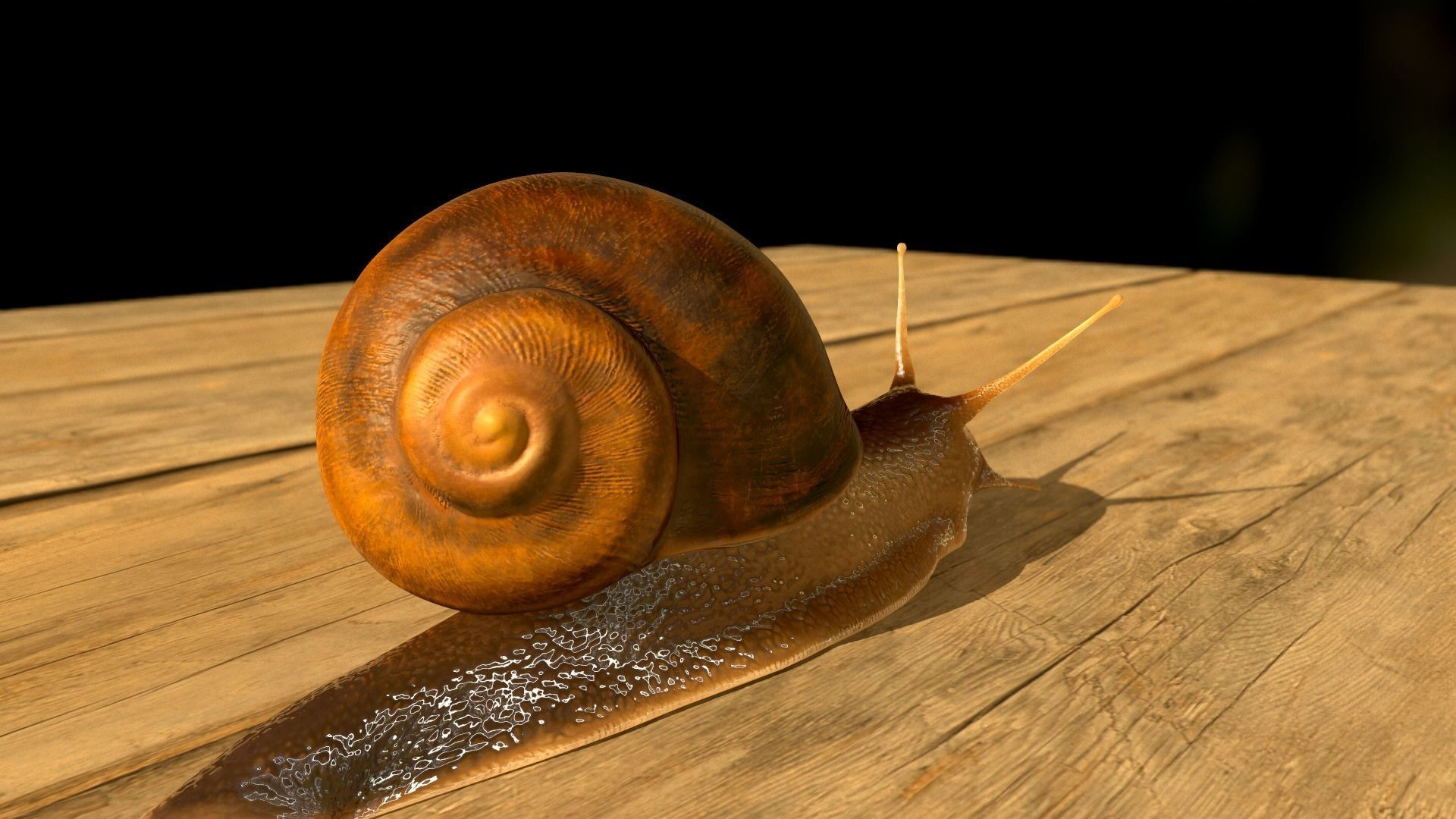 The Snail on rock Low-poly 3D model_28