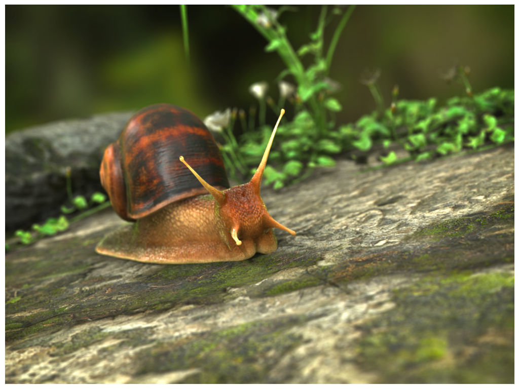 The Snail on rock Low-poly 3D model_4