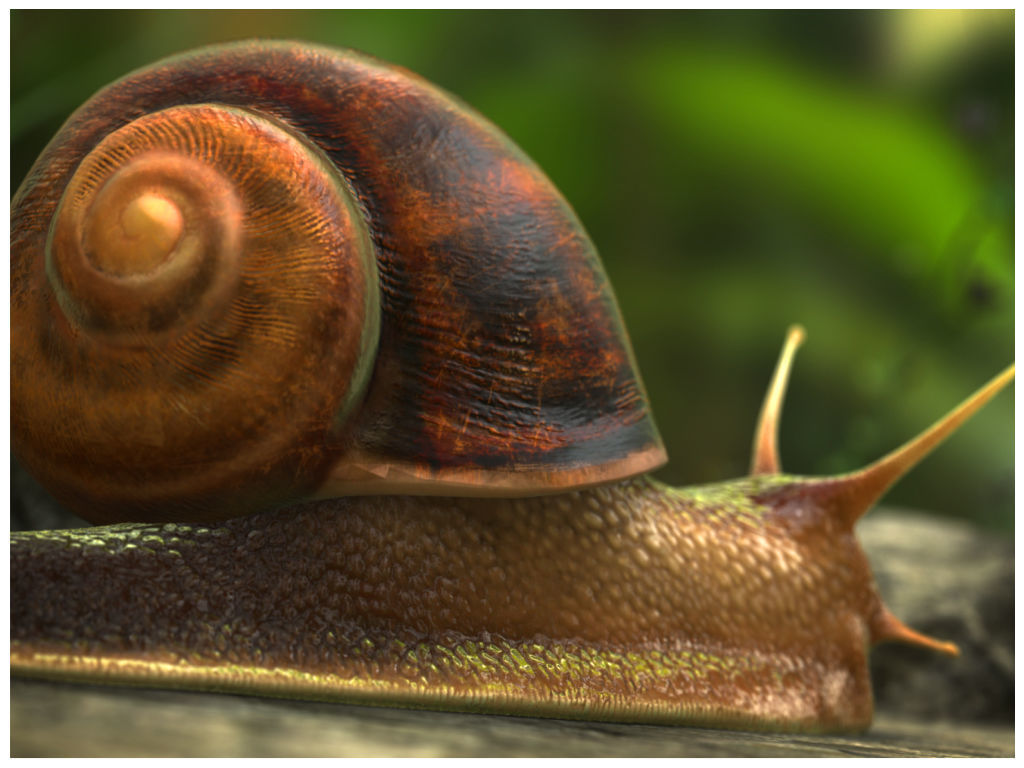 The Snail on rock Low-poly 3D model_14