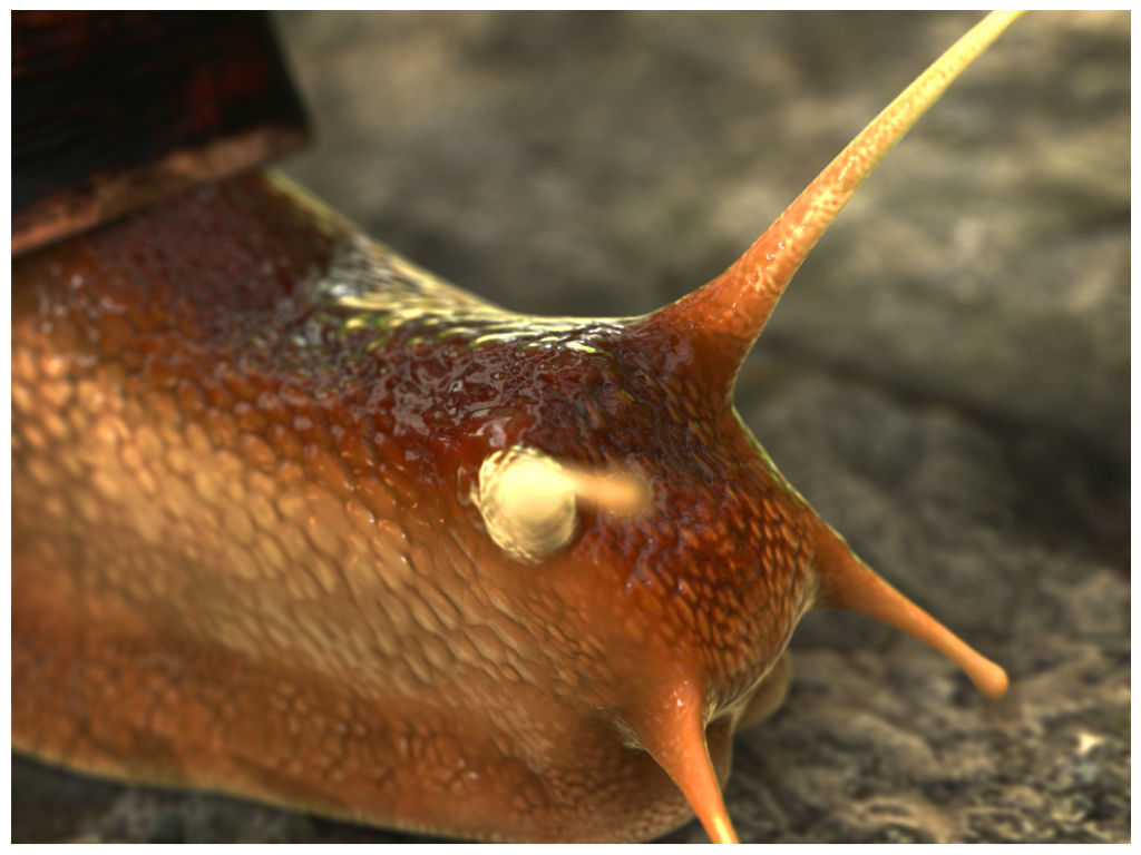 The Snail on rock Low-poly 3D model_13