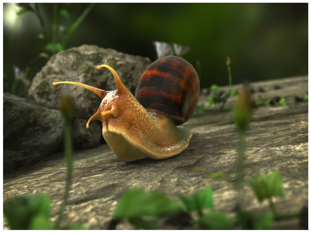 The Snail on rock Low-poly 3D model_11