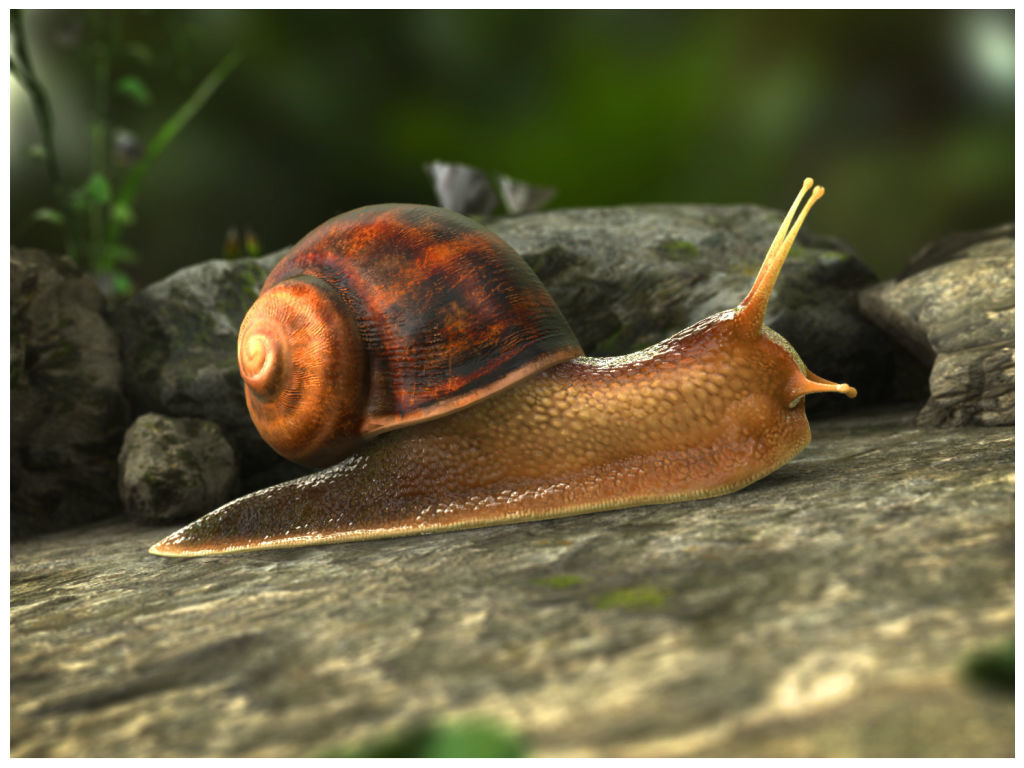 The Snail on rock Low-poly 3D model_7