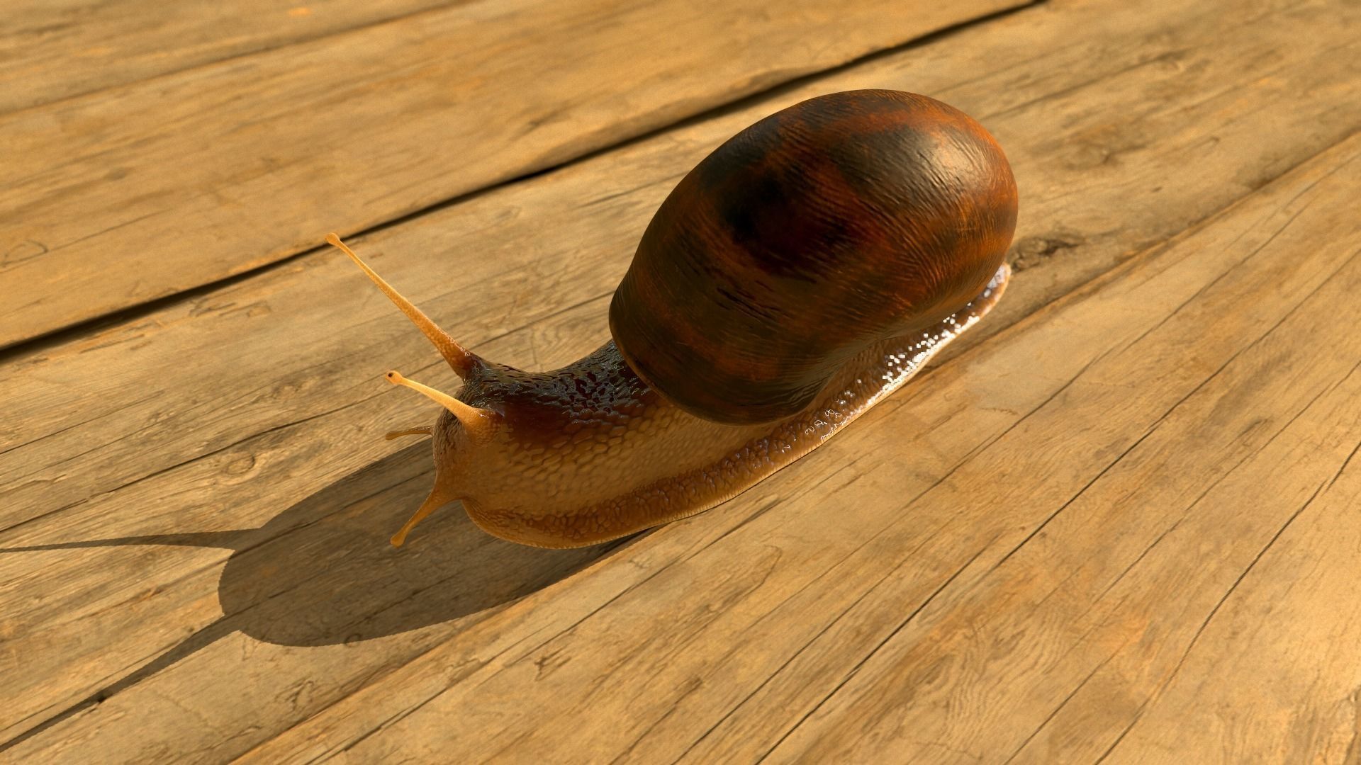 The Snail on rock Low-poly 3D model_26