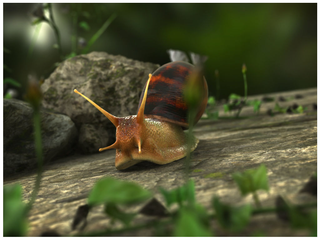 The Snail on rock Low-poly 3D model_8