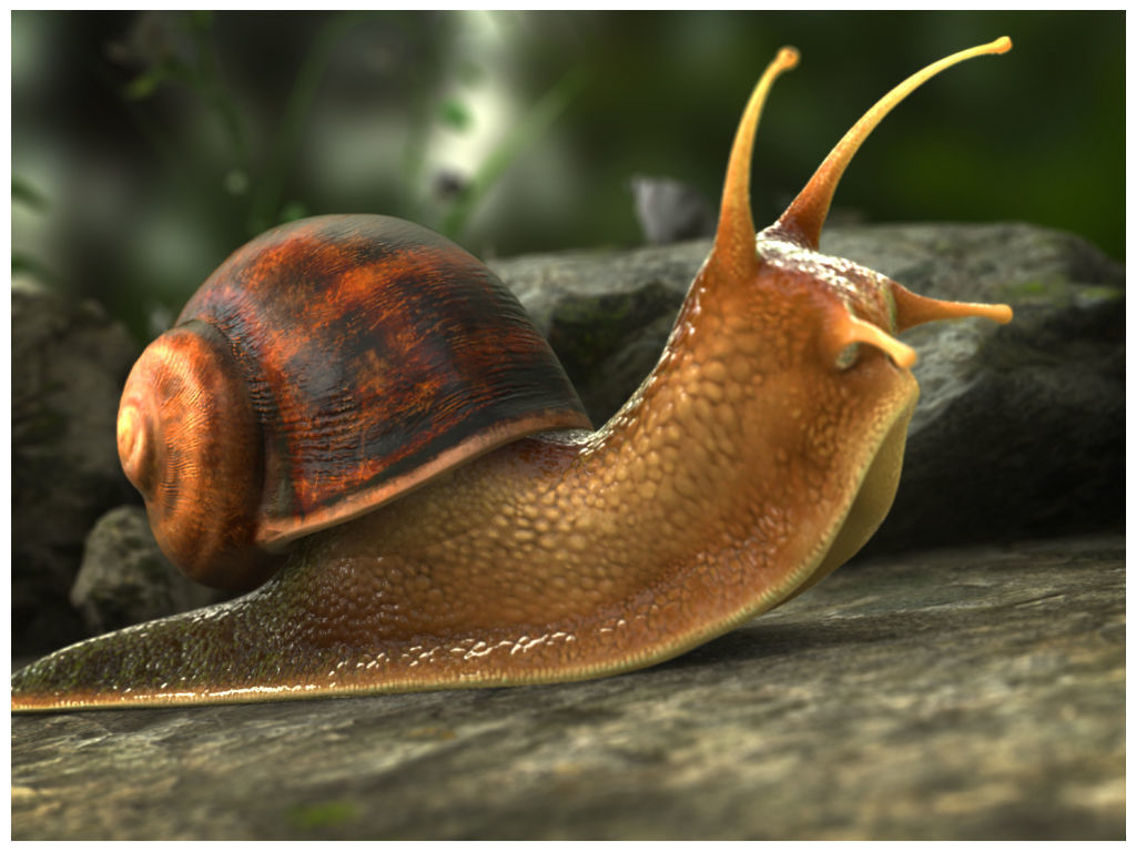 The Snail on rock Low-poly 3D model_10