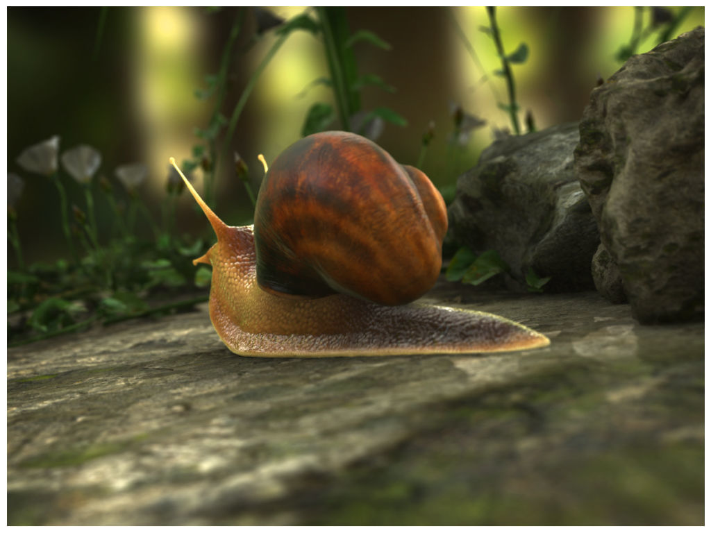 The Snail on rock Low-poly 3D model_15