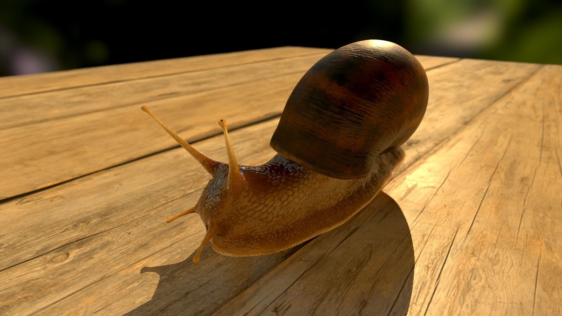 The Snail on rock Low-poly 3D model_24