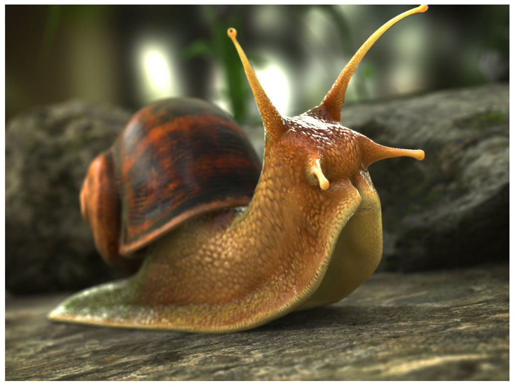 The Snail on rock Low-poly 3D model_9